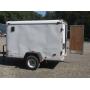 Wednesday Night Auction