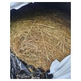 10 MIXED GRASS 1ST CUTTING ROUND BALES**