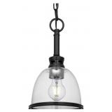 MATTE BLACK 1 LIGHT MINI-PENDANT LIGHTING