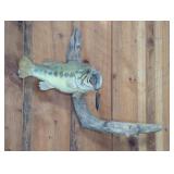 BASS FISH WALL MOUNT, ~32" L