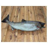 KING SALMON SKIN MOUNT, 40"L