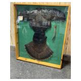 TURKEY TAXIDERMY DISPLAY