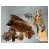 VICTOR ONEIDA TRAP, GROUPING OF FURS, MORE