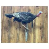 TAXIDERMY TURKEY WALL MOUNT, ~36" T