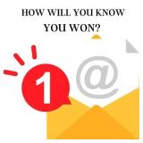 BIDDING INSTRUCTIONS: HOW TO YOU KNOW IF YOU WON?