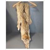 COYOTE PELT