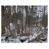 DARIEN LAKE SUPERMAN "RIDE OF STEEL"  S/S