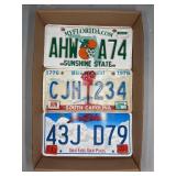 (3) LICENSE PLATES