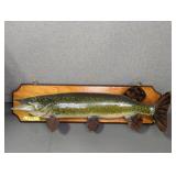 TAXIDERMY MOUNTED NORTHERN PIKE