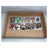 (12) HOCKEY CARDS IN HARD CASES