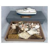 SEASHELLS, SPONGES & BOAT MODEL