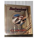 Budweiser Salutes U.S. Air Force Mirror