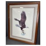 Framed Bald Eagle Artwork by Keith Morin