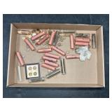 US Wheat and Lincoln Cent Collection