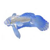 Swarovski Silver Crystal Blue Betta Fish