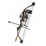 Proline Riptide Carbon Compound Bow Set