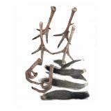 Turkey Feet and Beards Group