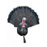 28" Tall Turkey Taxidermy Mount