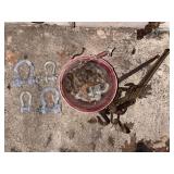 Shackles and Load Binders Lot