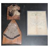 Framed Taxidermy Bird and Tail Plaques with Letter