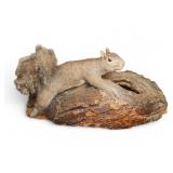 Taxidermy Squirrel on Natural Wood Base