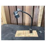 Laguna LED Light 20" Flex Spine Lamp