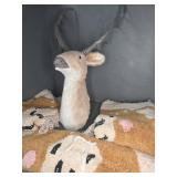 Plush Deer Head Wall Mount and Rugs