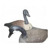 Canadian Goose Decoys