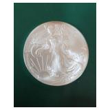 2007 American Silver Eagle 1 Oz Bullion Coin