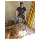 Maple Burl