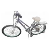 Giant Boulder Mountain Bike With Vuelta Rack