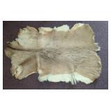 Tanned Deer Hide With Tail
