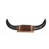 Mounted Bull Horns with Fabric and Rope Trim