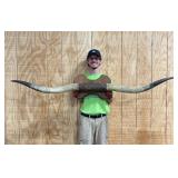 Mounted Longhorn Steer Horns With Wood Plaque