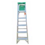 Werner Aluminum 6-Step Ladder with Green Top