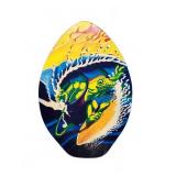 Michael Searle Skimboard With Iguana Surf Art