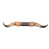 Mounted Longhorn Steer Horns With Rope And Leather