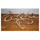 10 Deer Antlers