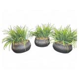 3 Faux Grass Plants in Black Dot Pots