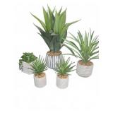 5 Artificial Potted Succulent Plants