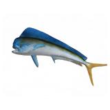 Large Fiberglass Mounted Mahi Mahi Fish Wall Decor