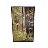 Forest Landscape Painting Signed