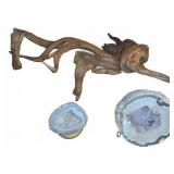 Quartz Geode Halves With Natural Driftwood