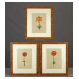 La Roche Laffitte (b. 1946)