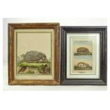 Two 18th c. Dedge Hog Hand Colored Prints