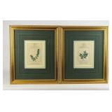C. 1785 Botanical Prints