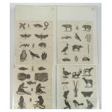 18th c. Natural History Engravings