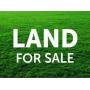Marytown Land Auction: 50+/- Acres