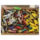 Shotgun Shell Collection - 12ga and 20ga