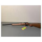 Savage Arms Mark II - .17cal Mach II